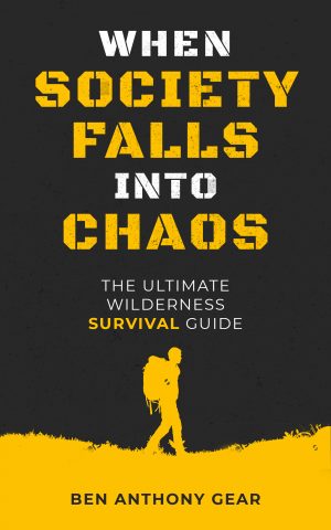 Cover for When Society Falls into Chaos
